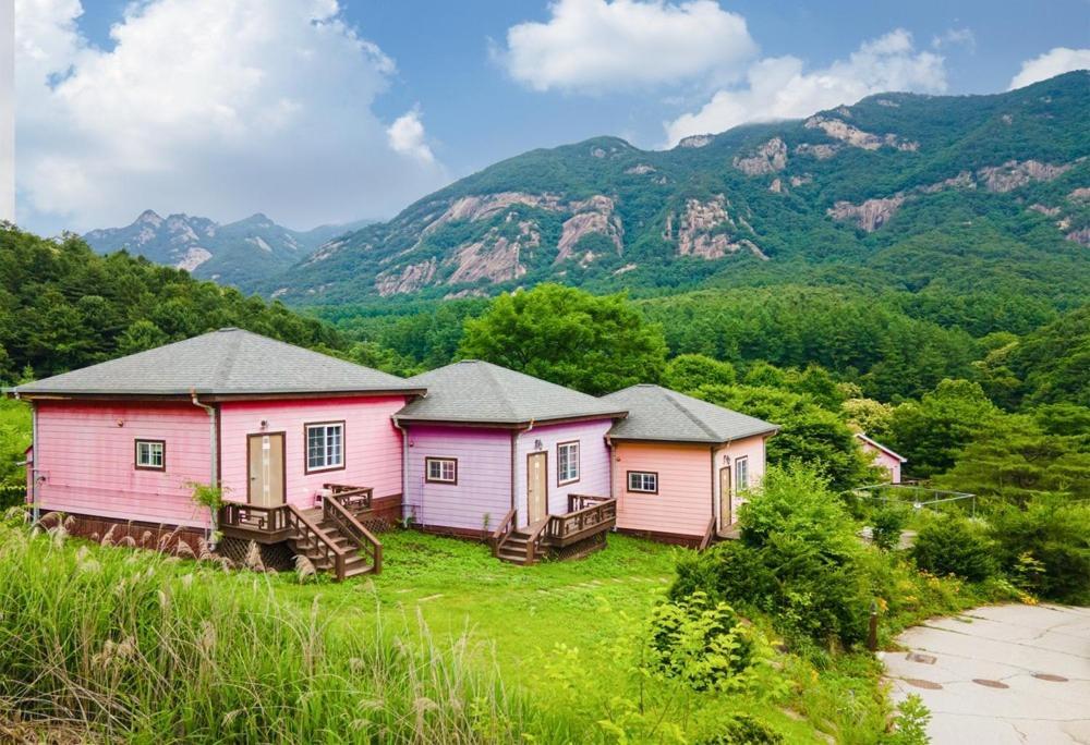 Prime Resort Pocheon Bagian luar foto